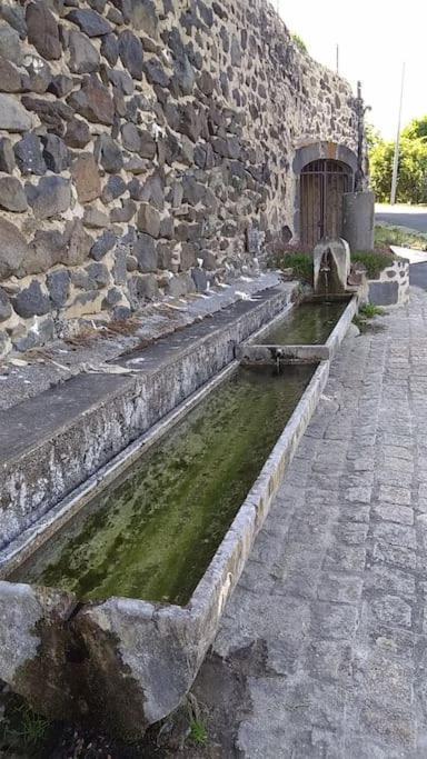 La Maisonnette Sous Le Cerisier Bergonne Экстерьер фото