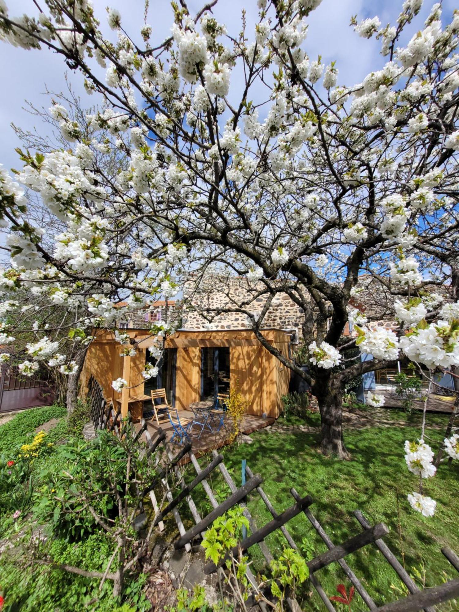 La Maisonnette Sous Le Cerisier Bergonne Экстерьер фото